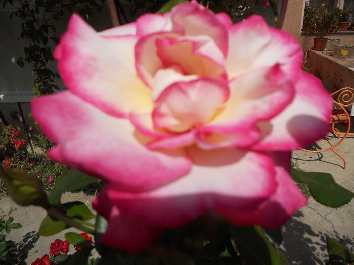 DSCN0418