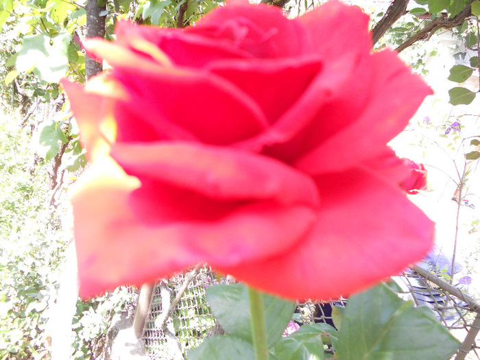 DSCN0433