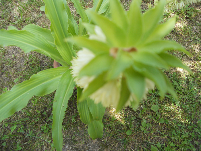 DSCN0473
