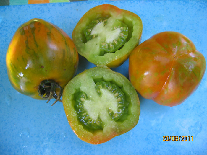 IMG_4384 - 1_Tomate