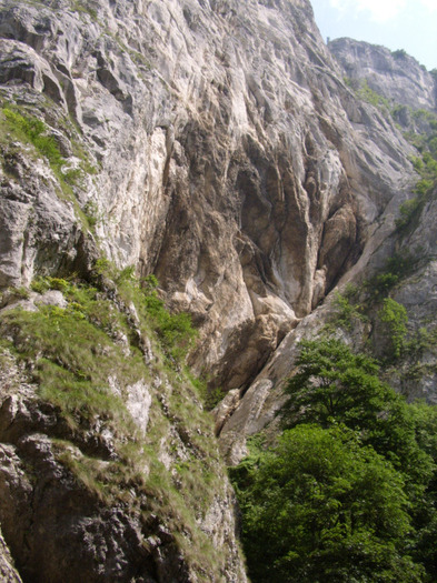 Cheile Rasnovului