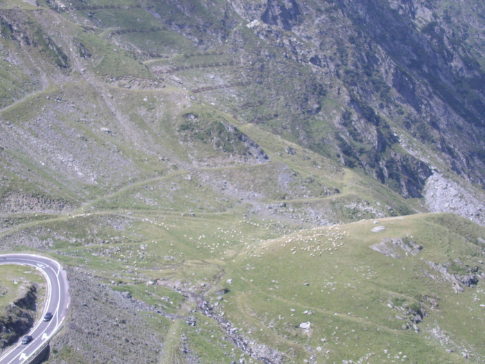 Transfagarasan