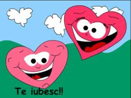 images (31) - poze poze