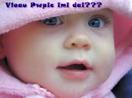 images (32) - poze poze
