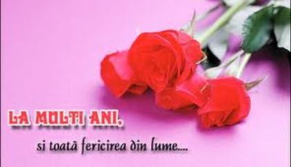 images (37) - poze poze