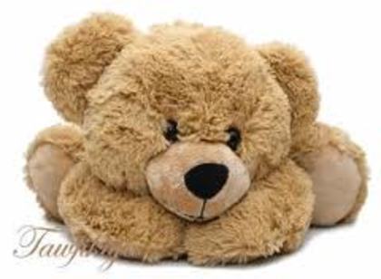images (38) - poze poze