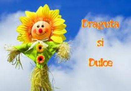 images (41) - poze poze