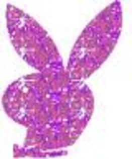 images (47) - poze poze