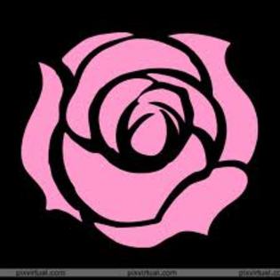 images (33) - poze roz