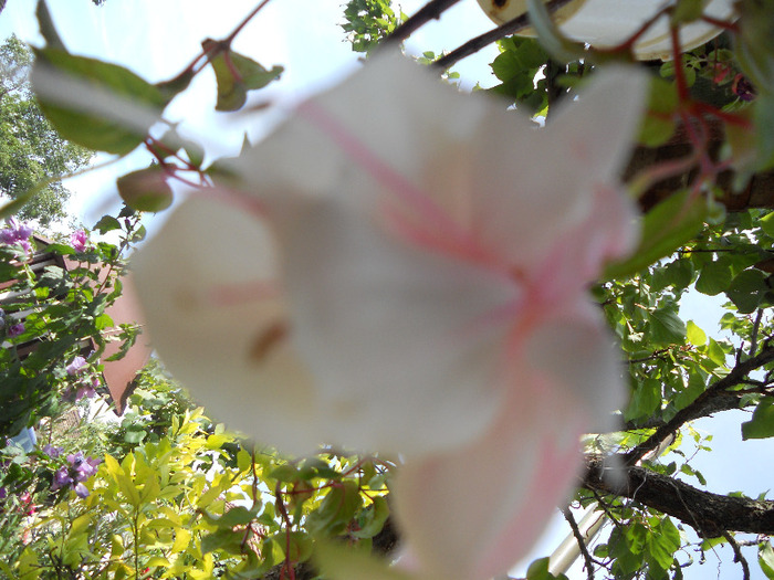 DSCN0480