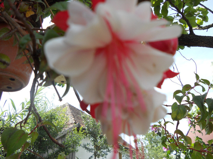 DSCN0478