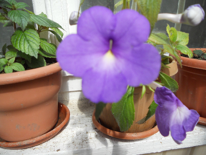 DSCN0442