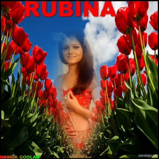 64024074 - Rubina Dilaik