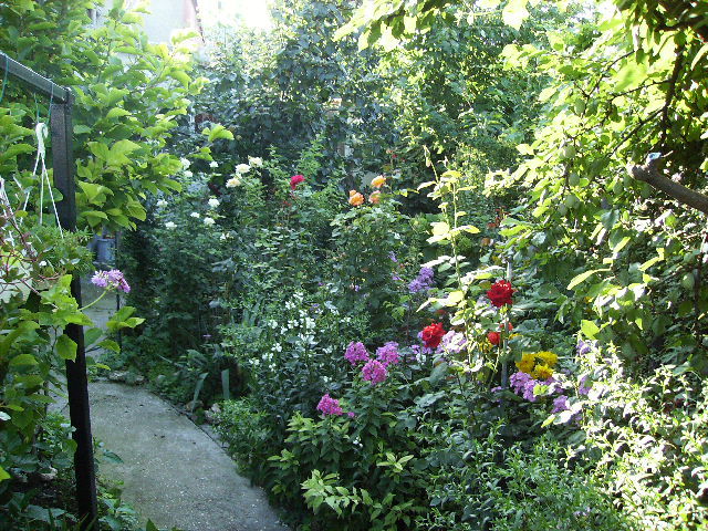 peisaj de gradina