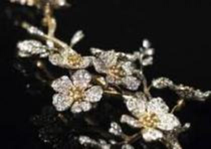 29875420_QITGNOQDF - imagini cu diamante