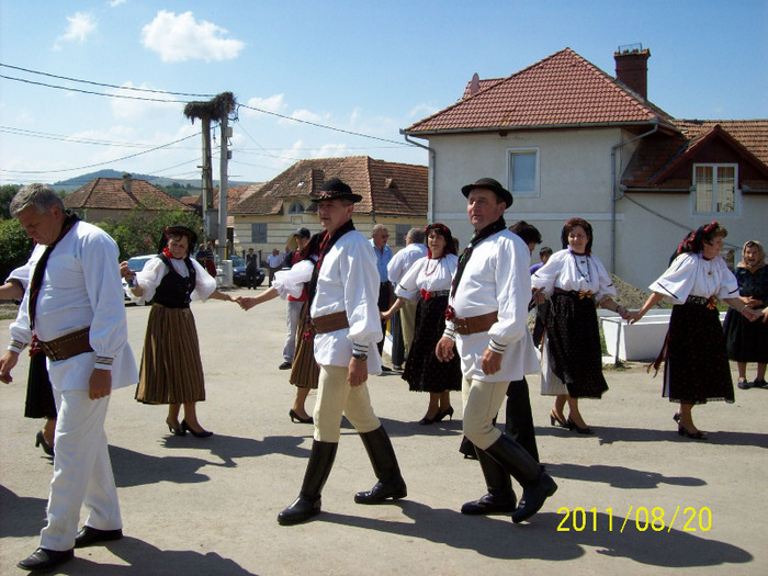 102_0683 - PALOS-ARDEAL -Fiii satului 2011