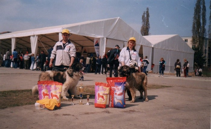 Ursu de Mindilica si Ozana de Mindilica; ursu excelent 1 c.a.c cluj 2005
ozana excelent 1 c.a.c cmbcr cluj 2005
