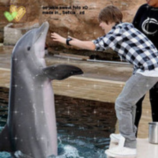 Buna delfinasul meu arati super!! - EPS - 5