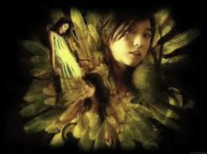 images (70)