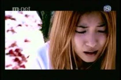 images (17)