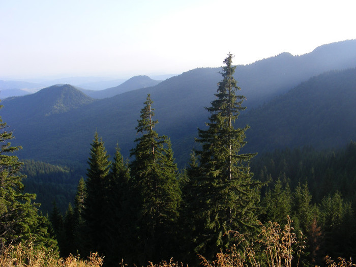 DSCF0087 - Peisaje de munte