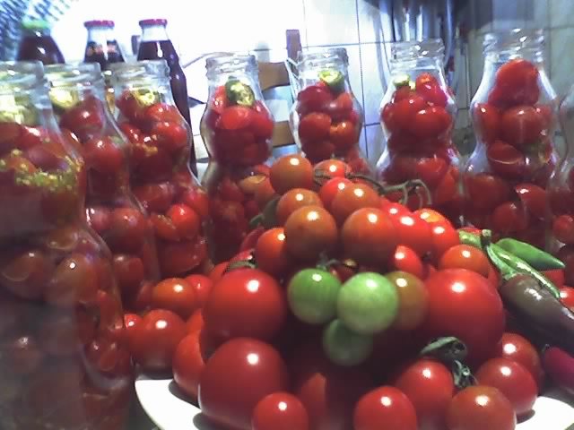 21-08-11_TOMATE PICANTE