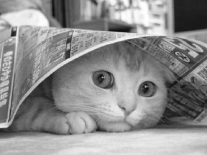 tumblr_lqaisjFJJv1qla0bso1_400_large