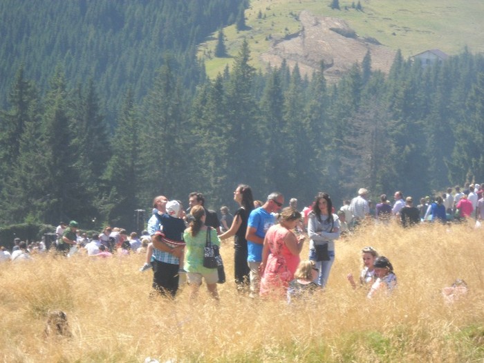 Picture 2294 - HORA LA PRISLOP 3 JUDETE 2011