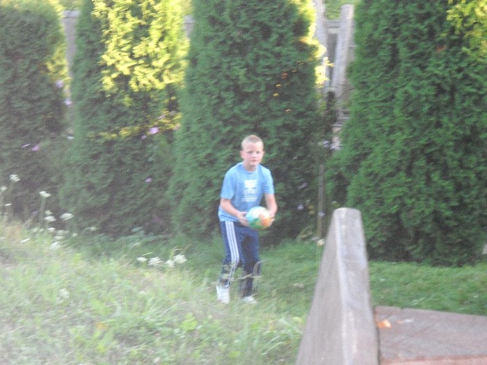 Picture 2372