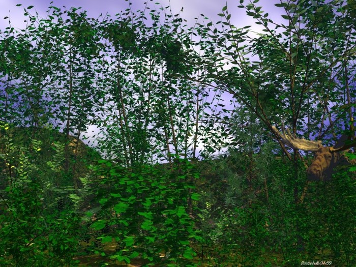 HomeGround - Peisaje