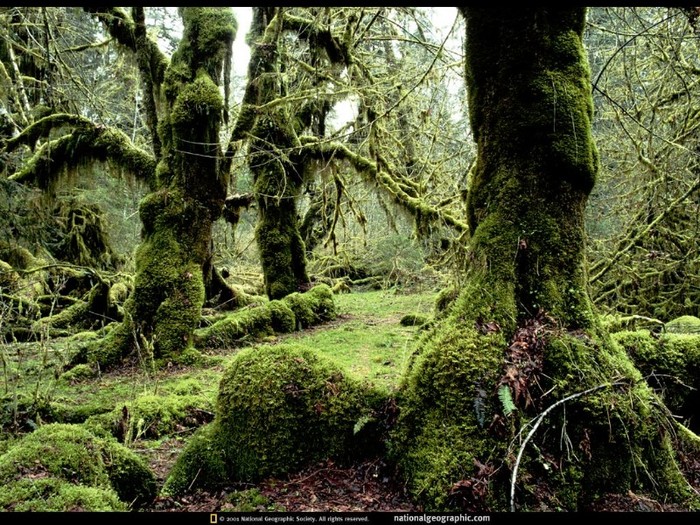 National Geographic Wallpapers 048 - Peisaje