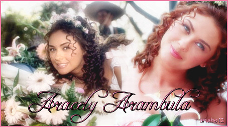 bannerara226xw - Aracely Arambula