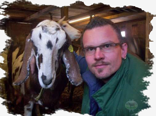 roggebinataler - crescatori de capre -austria ziege farm