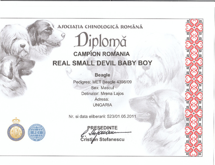 diploma ROCH; diploma
