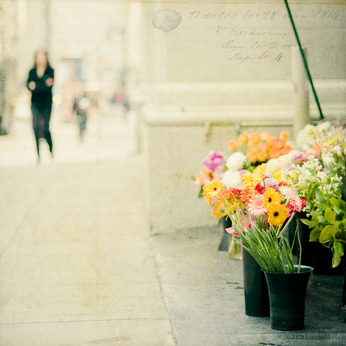 tumblr_kxny7of5ju1qzeh8no1_500