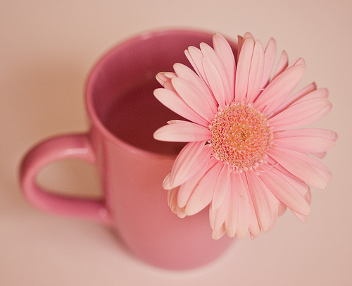 tumblr_l0ndb6SfV51qzeh8no1_500
