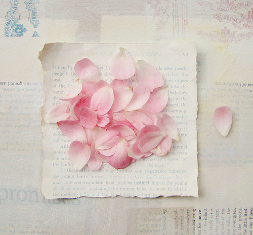 tumblr_l1ftykFmTV1qzeh8no1_500