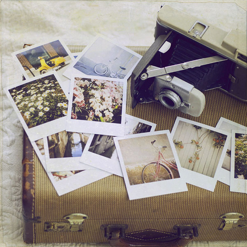 tumblr_l1p5ovQizD1qzeh8no1_500