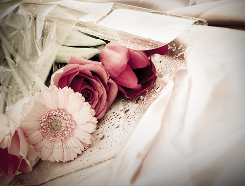 tumblr_l4f89pcFeE1qzeh8no1_500