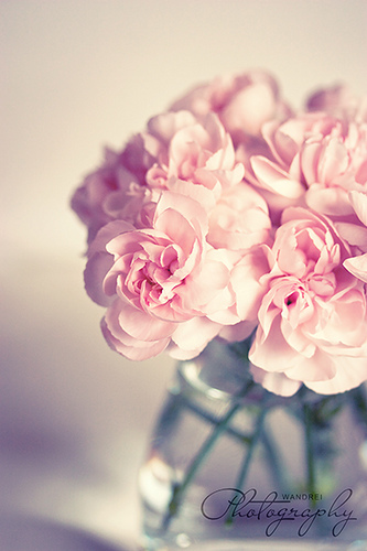 tumblr_l4qekiU9fH1qzeh8no1_400
