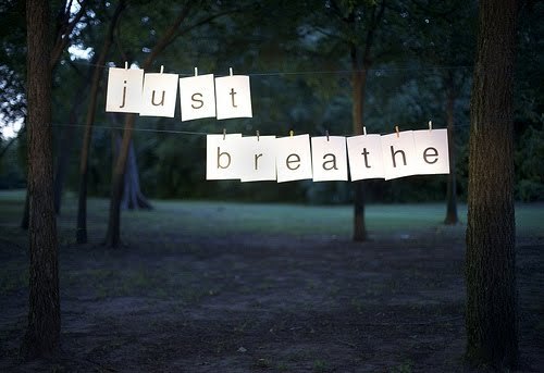 tumblr_l4z4fzPnOd1qzeh8no1_500