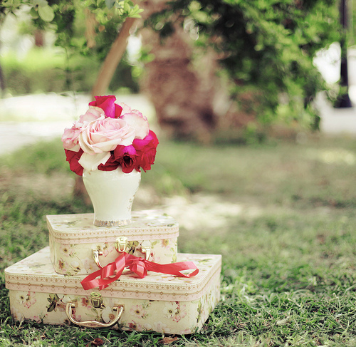 tumblr_l5buo9saOK1qzeh8no1_500