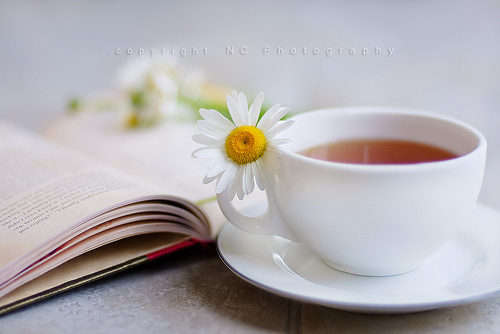 tumblr_l5sbpfXdYg1qzeh8no1_500