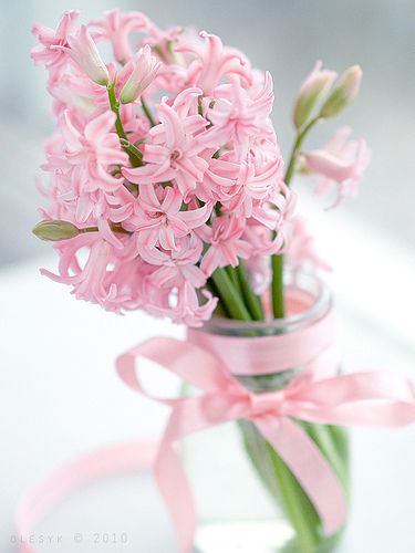 tumblr_l5ud3esvw11qzeh8no1_400