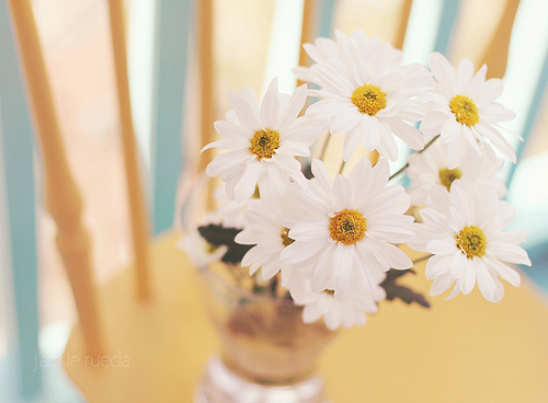 tumblr_l6kz53cjuS1qzeh8no1_500