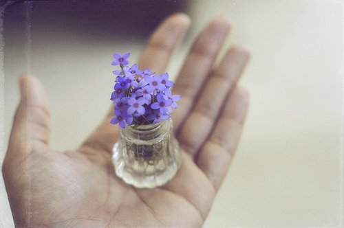 tumblr_l18fv5fhma1qzeh8no1_500