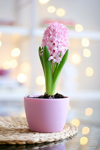 tumblr_l50mbycMv51qzeh8no1_400