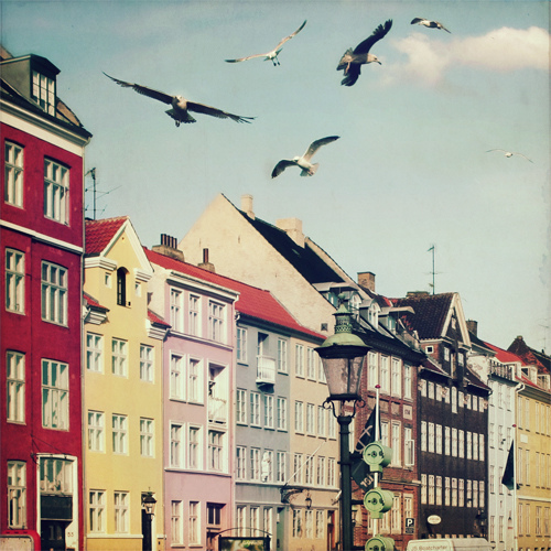 tumblr_lassl8Ycpu1qzeh8no1_500 - 0 A magic world
