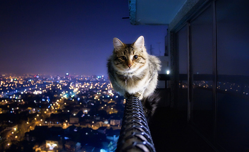 tumblr_lb8r94LJlU1qzeh8no1_500 - 0 A magic world