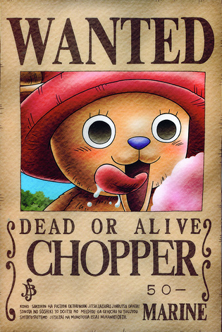 Chopper-wanted - recompensele echipei palarie de paie